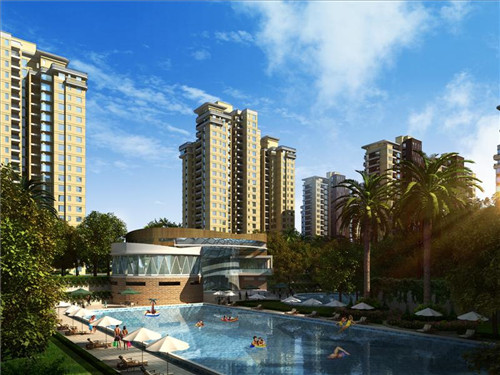 厨小厨瓦香鸡米饭