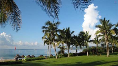 摩可奶茶加盟店在沁阳市口碑怎么样，沁阳市奶茶店值得投吗