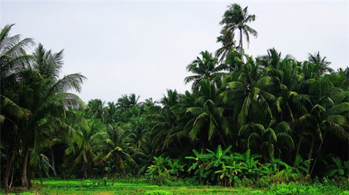 肃南裕固族自治县开小吃车店加盟十大理由，肃南裕固族自治县加盟一品粮度小吃车如何选址