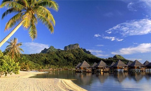 加盟胖子和瘦子披萨教技术吗