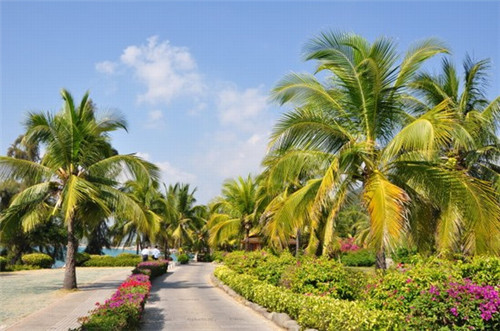 法务平台加盟费多少