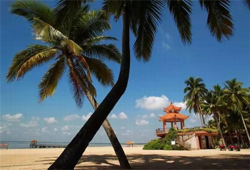 赵小姐的店加盟有哪些优势