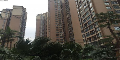 加盟奶q仔需要投资多少钱