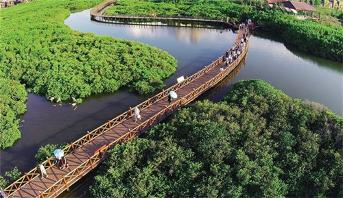 奶茶店会经常看监控吗