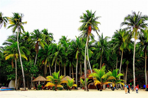 洗乐干洗2025年还可以加盟吗，干洗店创业好吗