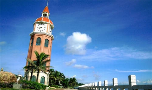 为食猫加盟费多少