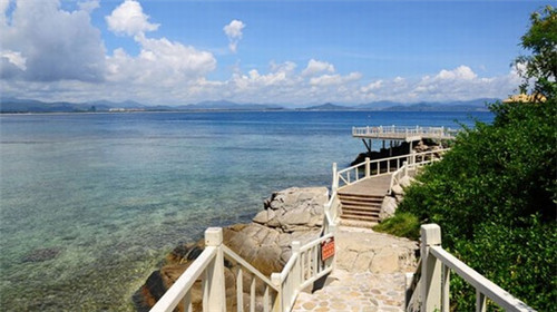 芹菜炒杨柳丝怎么炒（芹菜炒牛柳的家常做法窍门）