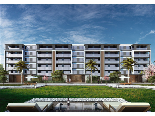 上海结婚配什么歌（上海结婚喝什么白酒）