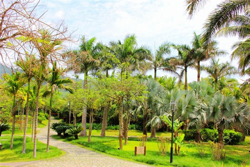 朱陈建材城附近房价（朱陈建材市场办公室投诉电话）