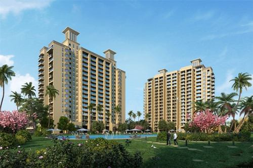 骨瓷杯碟加盟品牌什么好挣钱（骨瓷杯价格大概多少）