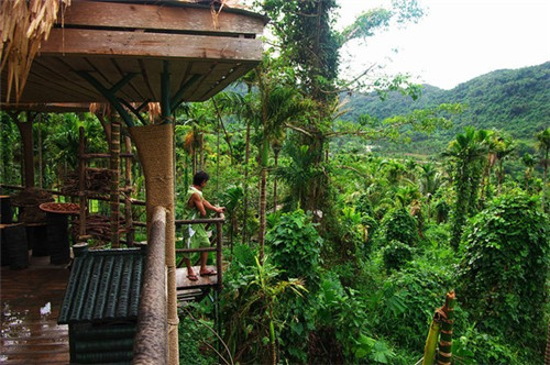 元气寿司总部在什么地方，元气寿司加盟店有多少家