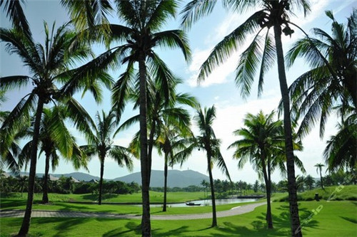 巴中区哪有奶茶店招人的